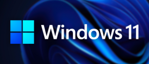 Wicked Whims for Windows 11